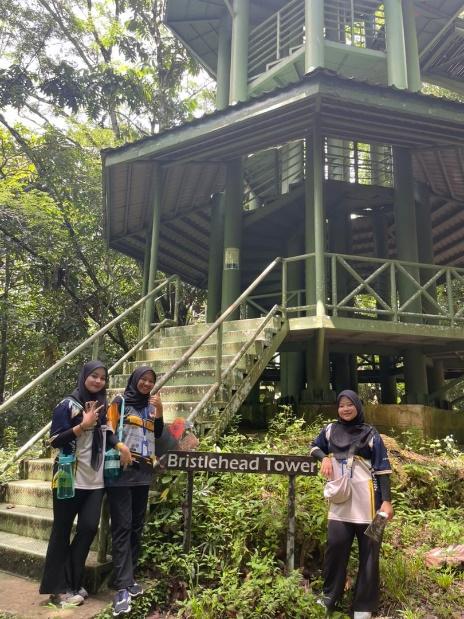 Festival Burung 2025